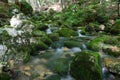 Silk water in a little cascade, Slovenia Royalty Free Stock Photo