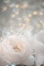 Silk white flowers roses with lace and blurred light background with beautiful yellow bokeh. Christmas decoration. Soft