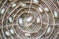 Silk worm cocoons in white nests Royalty Free Stock Photo