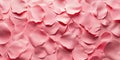 Silken Blush: A Delicate Pink Rose Petal Texture with Whispered Highlight Royalty Free Stock Photo