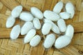 Silkworm cocoon on bamboo container Royalty Free Stock Photo