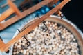 Silkworm cocoons in hot water in cauldron