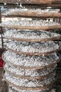 Silkworm cocoons - Dalat Vietnam Royalty Free Stock Photo