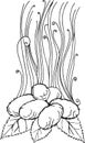 Silkworm, leaves, doodl, black and white sketch, hand draw illustration