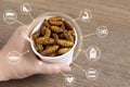 Silkworm Pupae insects for eating as food in disposable cup with icon media nutrition concept on wood background. Chrysalis