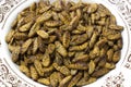 Silkworm pupae