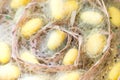Silkworms Nest In Bamboo Basket. Royalty Free Stock Photo