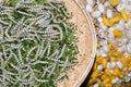 Silkworms and silk cocoons Royalty Free Stock Photo