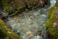 Silky Blurr Canadian Wilderness Creek