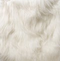 SILKY FUR TEXTURE DOG FUR Royalty Free Stock Photo