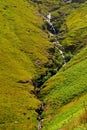 Silky Grassland with Small Stream