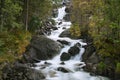 Silky Stream from Langfoss