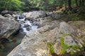 Silky water flowing over rocks in warmly lit forest Royalty Free Stock Photo