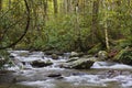 Silky water over rocks in Smoky Mountains