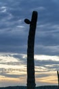 Sillhouette saguaro cactus in late evening sunset or sunrise with orange and dark looming storm clouds above