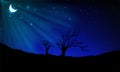 Sillhouette of tree in Starry night background