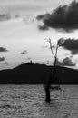 Sillohuette shadow buddha image,tree and mountain