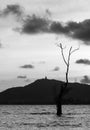 Sillohuette shadow buddha image,tree and mountain