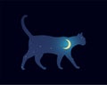 Sillouette cat walking at night. Starry Sky Moon. Vector Illustration