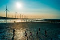 Sillouette of wind turbine array Royalty Free Stock Photo