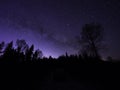 Sillouettes of trees at night in winter. Night sky, stars. Royalty Free Stock Photo