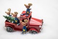 Silly Christmas reindeer around a red pickup truck in the snow. Royalty Free Stock Photo