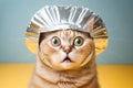 silly frightened cat in a tinfoil hat, created with Generative AI technology