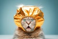 silly frightened cat in a tinfoil hat, created with Generative AI technology