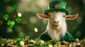 Silly goat in a Leprechaun outfit, coins raining down, clover Royalty Free Stock Photo