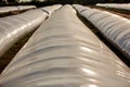 Silo bag in a farm with fence and field. Rural, countryside image, agricultural industry scene.