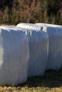 silo bales silage haylage foiled on field