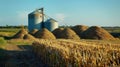 A silo filled with large piles of harvested switchgrass ready to be processed into biomass fuel for use in energy