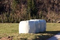 silo silage bales, haylage foiled on field