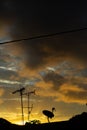 Silohuettes of satelite dish and tv antenna during sunrise in a suburb neighbourhood