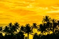 Coconut Trees during sunset at Siloso Beach, Sentosa Island, Singapore. Royalty Free Stock Photo