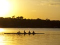 Silouhetted Rowing team Royalty Free Stock Photo