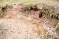 Silt eroding along creek Royalty Free Stock Photo