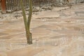 Silt after the mudflow Royalty Free Stock Photo