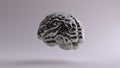 Silver Anatomical Brain