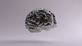 Silver Anatomical Brain