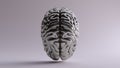 Silver Anatomical Brain