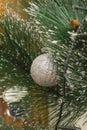 Silver ball on branch of Christmas tree with snow. Selective focus, blurred background Royalty Free Stock Photo