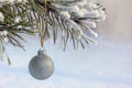 Silver Ball on Pine Tree in Winter Forest Royalty Free Stock Photo