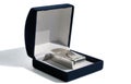 Silver bar in a dark blue case