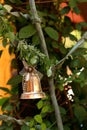 A silver bell on the Christmas tree. Royalty Free Stock Photo