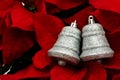 Silver Bells Royalty Free Stock Photo