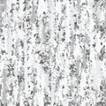 Silver Birch Tree Bark Effect Texture Background. Speckled White Weathered Rough Abstract Seamless Pattern Monochrome Natural