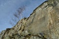 Silver birch tree by Froggatt Edge Royalty Free Stock Photo