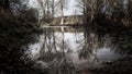 Silver Birch Trees Stand silent in a winters Flood Royalty Free Stock Photo