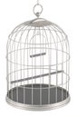 Silver bird cage, metallic birdcage. 3D rendering Royalty Free Stock Photo